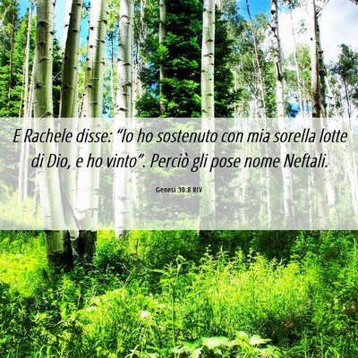 Picture 06 - Genesi 30:8 RIV - E Rachele disse: “Io ho sostenuto con mia - Bible Verse Picture