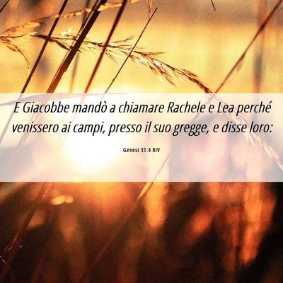 Picture 06 - Genesi 31:4 RIV - E Giacobbe mandò a chiamare Rachele e Lea - Bible Verse Picture