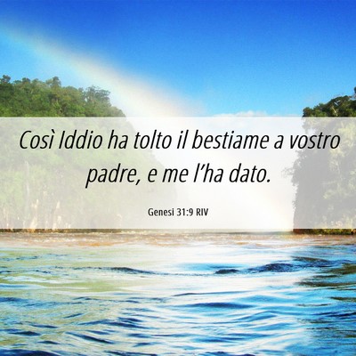 Picture 06 - Genesi 31:9 RIV - Così Iddio ha tolto il bestiame a vostro padre, - Bible Verse Picture
