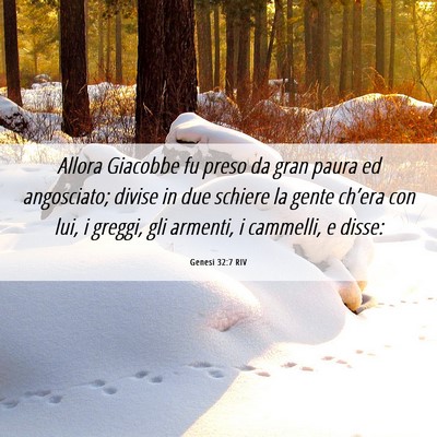 Picture 06 - Genesi 32:7 RIV - Allora Giacobbe fu preso da gran paura ed - Bible Verse Picture