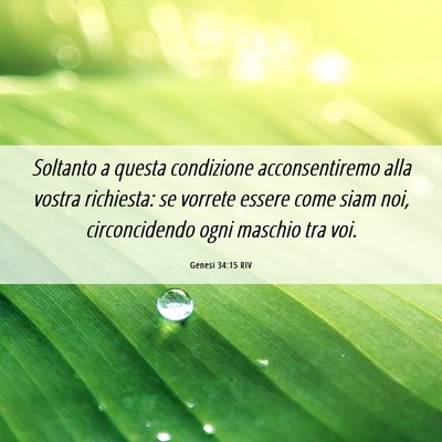 Picture 06 - Genesi 34:15 RIV - Soltanto a questa condizione acconsentiremo alla - Bible Verse Picture