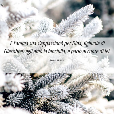Picture 06 - Genesi 34:3 RIV - E l’anima sua s’appassionò per Dina, - Bible Verse Picture