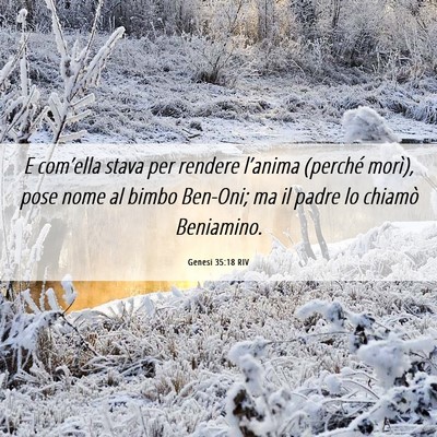 Picture 06 - Genesi 35:18 RIV - E com’ella stava per rendere l’anima (perché - Bible Verse Picture