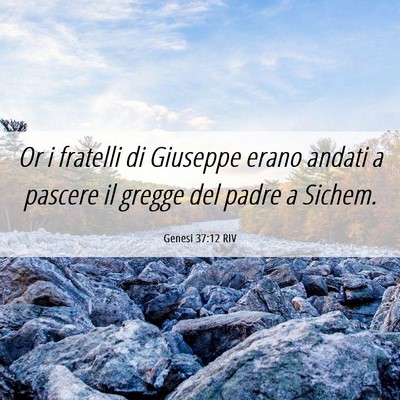 Picture 06 - Genesi 37:12 RIV - Or i fratelli di Giuseppe erano andati a pascere - Bible Verse Picture