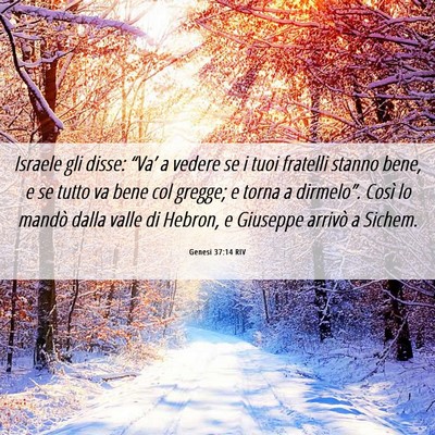 Picture 06 - Genesi 37:14 RIV - Israele gli disse: “Va’ a vedere se i tuoi - Bible Verse Picture