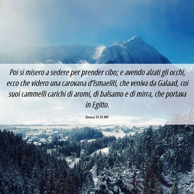 Picture 06 - Genesi 37:25 RIV - Poi si misero a sedere per prender cibo; e avendo - Bible Verse Picture