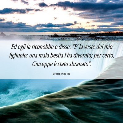 Picture 06 - Genesi 37:33 RIV - Ed egli la riconobbe e disse: “E’ la veste - Bible Verse Picture