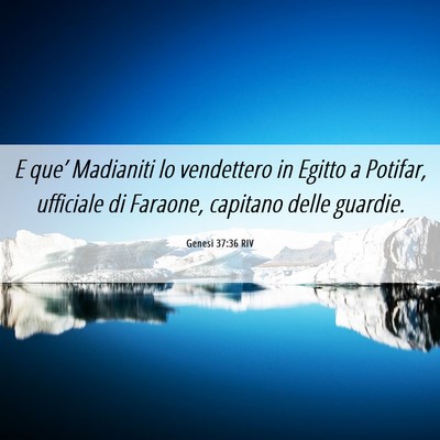 Picture 06 - Genesi 37:36 RIV - E que’ Madianiti lo vendettero in Egitto a - Bible Verse Picture