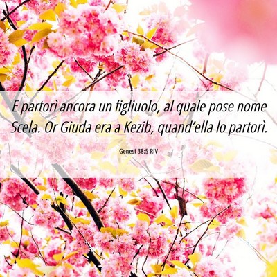 Picture 06 - Genesi 38:5 RIV - E partorì ancora un figliuolo, al quale pose - Bible Verse Picture