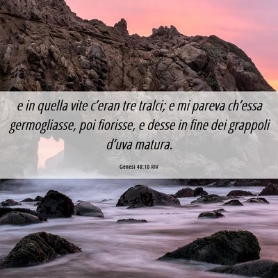 Picture 06 - Genesi 40:10 RIV - e in quella vite c’eran tre tralci; e mi pareva - Bible Verse Picture