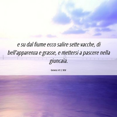 Picture 06 - Genesi 41:2 RIV - e su dal fiume ecco salire sette vacche, di - Bible Verse Picture