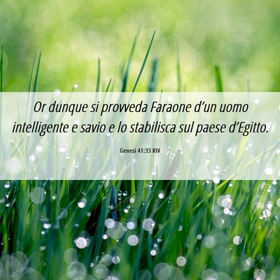 Picture 06 - Genesi 41:33 RIV - Or dunque si provveda Faraone d’un uomo - Bible Verse Picture