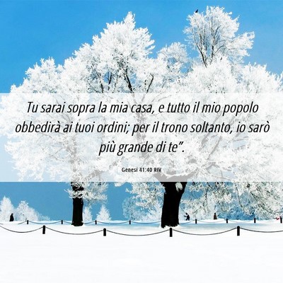 Picture 06 - Genesi 41:40 RIV - Tu sarai sopra la mia casa, e tutto il mio popolo - Bible Verse Picture