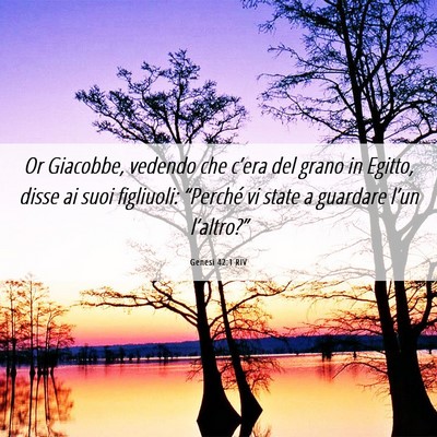 Picture 06 - Genesi 42:1 RIV - Or Giacobbe, vedendo che c’era del grano in - Bible Verse Picture