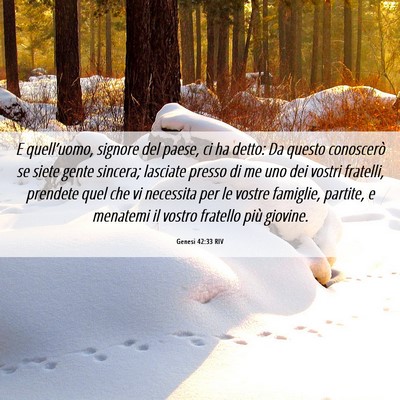 Picture 06 - Genesi 42:33 RIV - E quell’uomo, signore del paese, ci ha detto: - Bible Verse Picture