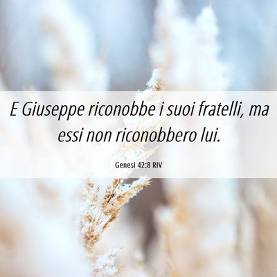 Picture 06 - Genesi 42:8 RIV - E Giuseppe riconobbe i suoi fratelli, ma essi non - Bible Verse Picture