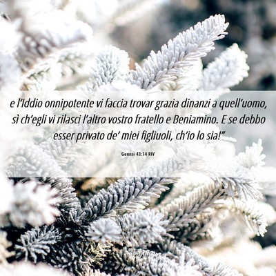 Picture 06 - Genesi 43:14 RIV - e l’Iddio onnipotente vi faccia trovar grazia - Bible Verse Picture