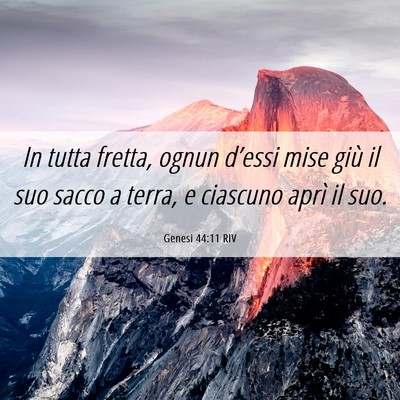 Picture 06 - Genesi 44:11 RIV - In tutta fretta, ognun d’essi mise giù il suo - Bible Verse Picture