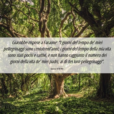 Picture 06 - Genesi 47:9 RIV - Giacobbe rispose a Faraone: “I giorni del tempo - Bible Verse Picture