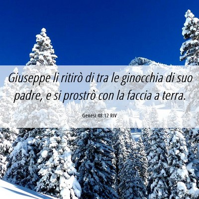Picture 06 - Genesi 48:12 RIV - Giuseppe li ritirò di tra le ginocchia di suo - Bible Verse Picture