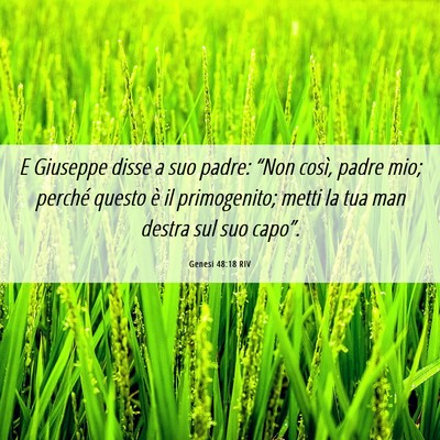 Picture 06 - Genesi 48:18 RIV - E Giuseppe disse a suo padre: “Non così, padre - Bible Verse Picture