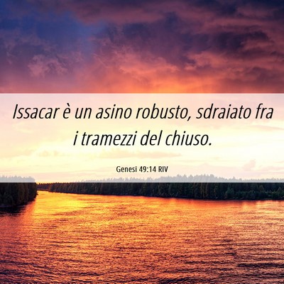Picture 06 - Genesi 49:14 RIV - Issacar è un asino robusto, sdraiato fra i - Bible Verse Picture