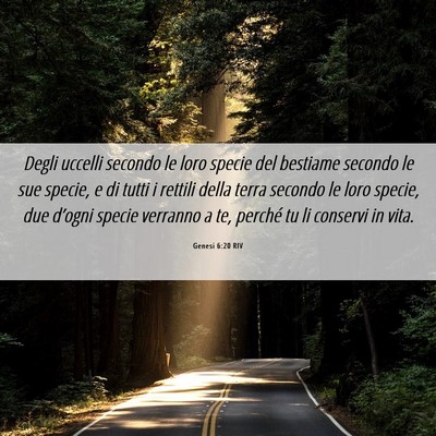 Picture 06 - Genesi 6:20 RIV - Degli uccelli secondo le loro specie del bestiame - Bible Verse Picture