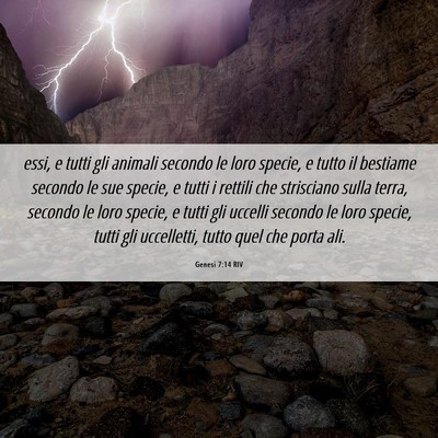 Picture 06 - Genesi 7:14 RIV - essi, e tutti gli animali secondo le loro specie, - Bible Verse Picture