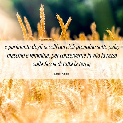 Picture 06 - Genesi 7:3 RIV - e parimente degli uccelli dei cieli prendine - Bible Verse Picture