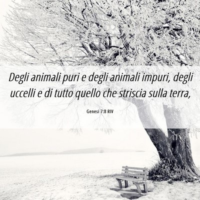 Picture 06 - Genesi 7:8 RIV - Degli animali puri e degli animali impuri, degli - Bible Verse Picture