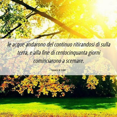 Picture 06 - Genesi 8:3 RIV - le acque andarono del continuo ritirandosi di - Bible Verse Picture