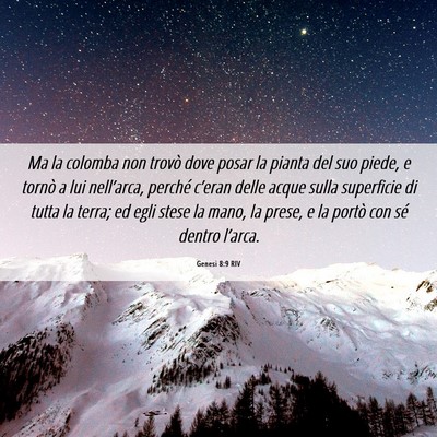 Picture 06 - Genesi 8:9 RIV - Ma la colomba non trovò dove posar la pianta del - Bible Verse Picture
