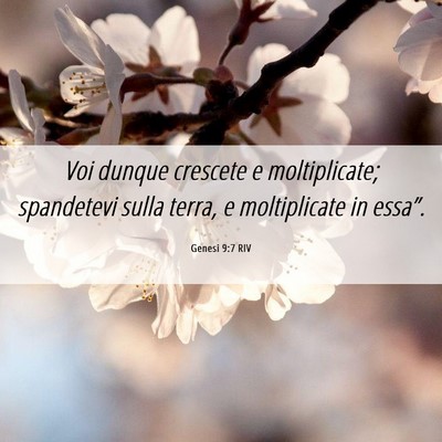 Picture 06 - Genesi 9:7 RIV - Voi dunque crescete e moltiplicate; spandetevi - Bible Verse Picture
