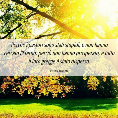 Picture 06 - Geremia 10:21 RIV - Perché i pastori sono stati stupidi, e non hanno - Bible Verse Picture