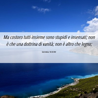 Picture 06 - Geremia 10:8 RIV - Ma costoro tutti insieme sono stupidi e - Bible Verse Picture