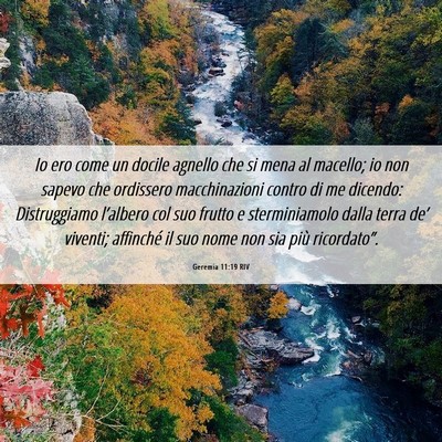 Picture 06 - Geremia 11:19 RIV - Io ero come un docile agnello che si mena al - Bible Verse Picture