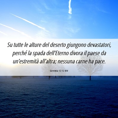 Picture 06 - Geremia 12:12 RIV - Su tutte le alture del deserto giungono - Bible Verse Picture