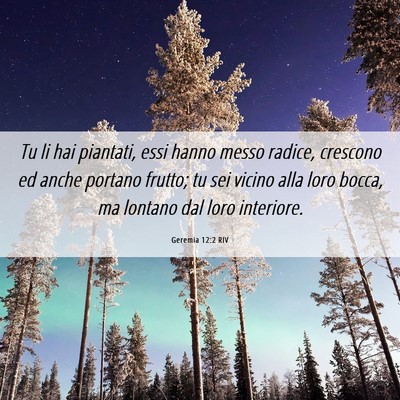 Picture 06 - Geremia 12:2 RIV - Tu li hai piantati, essi hanno messo radice, - Bible Verse Picture