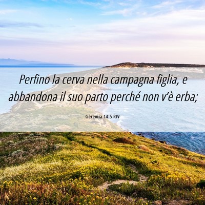 Picture 06 - Geremia 14:5 RIV - Perfino la cerva nella campagna figlia, e - Bible Verse Picture