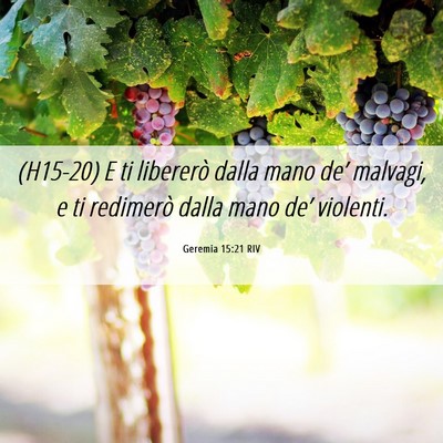 Picture 06 - Geremia 15:21 RIV - (H15-20) E ti libererò dalla mano de’ malvagi, - Bible Verse Picture