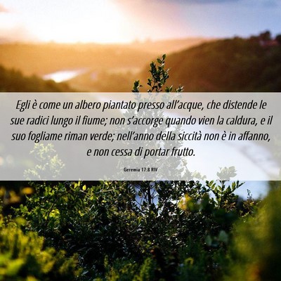 Picture 06 - Geremia 17:8 RIV - Egli è come un albero piantato presso - Bible Verse Picture