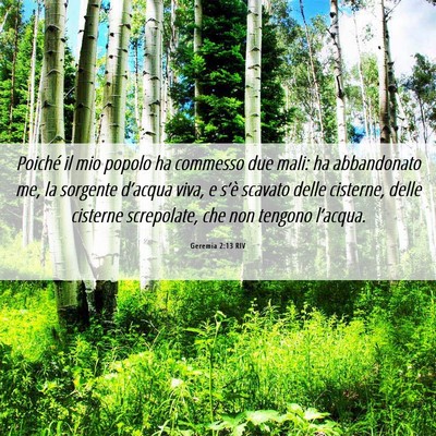 Picture 06 - Geremia 2:13 RIV - Poiché il mio popolo ha commesso due mali: ha - Bible Verse Picture