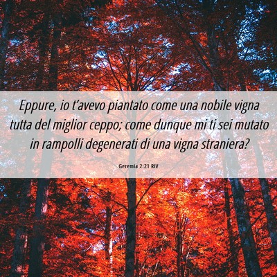 Picture 06 - Geremia 2:21 RIV - Eppure, io t’avevo piantato come una nobile - Bible Verse Picture