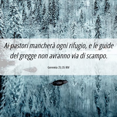 Picture 06 - Geremia 25:35 RIV - Ai pastori mancherà ogni rifugio, e le guide del - Bible Verse Picture