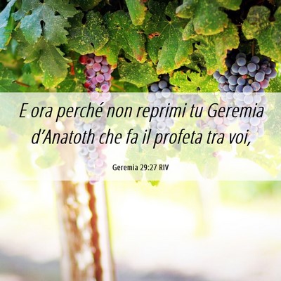 Picture 06 - Geremia 29:27 RIV - E ora perché non reprimi tu Geremia d’Anatoth - Bible Verse Picture