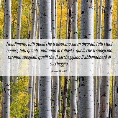 Picture 06 - Geremia 30:16 RIV - Nondimeno, tutti quelli che ti divorano saran - Bible Verse Picture