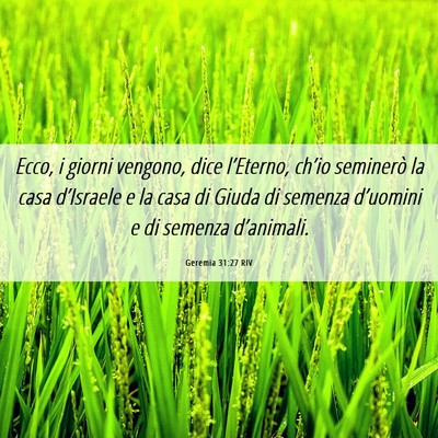 Picture 06 - Geremia 31:27 RIV - Ecco, i giorni vengono, dice l’Eterno, ch’io - Bible Verse Picture
