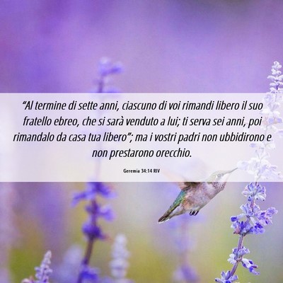 Picture 06 - Geremia 34:14 RIV - “Al termine di sette anni, ciascuno di voi - Bible Verse Picture