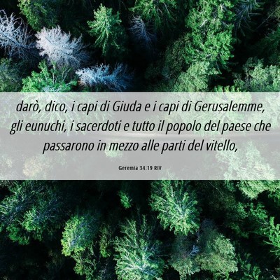 Picture 06 - Geremia 34:19 RIV - darò, dico, i capi di Giuda e i capi di - Bible Verse Picture