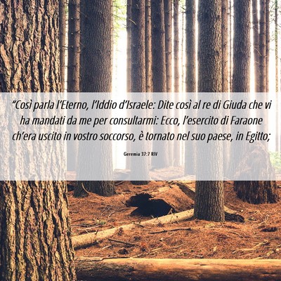 Picture 06 - Geremia 37:7 RIV - “Così parla l’Eterno, l’Iddio d’Israele: - Bible Verse Picture